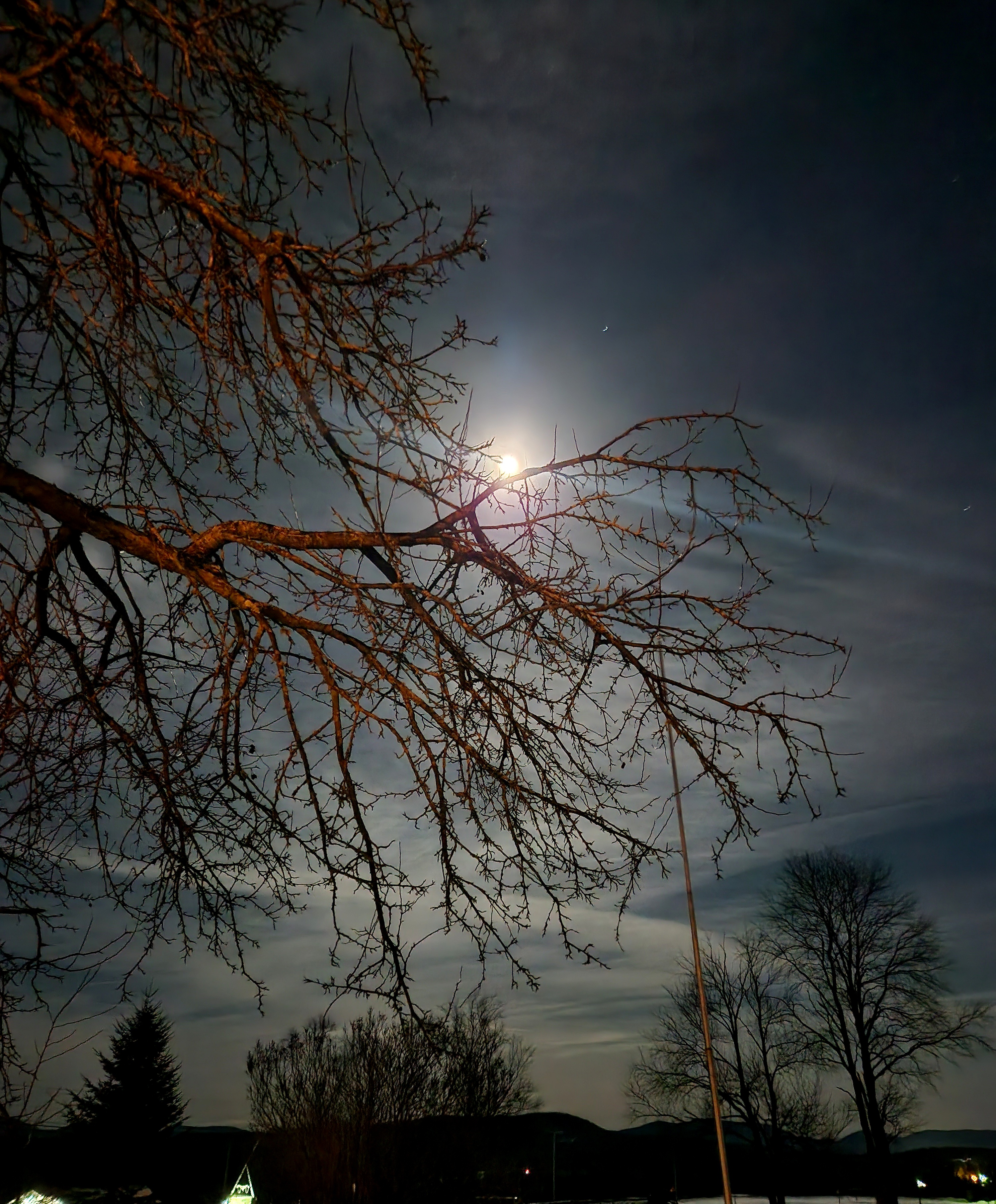 White Mountain Bed and Breakfast with Moon Behind a Tree